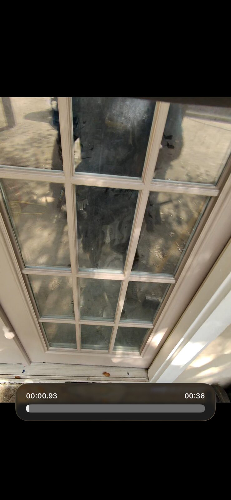 Before: dirty French-door window with streaks and debris